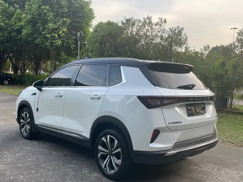 Wuling Wuling Xingchen фото 12