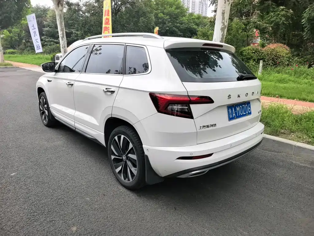 Skoda Karoq фото 4
