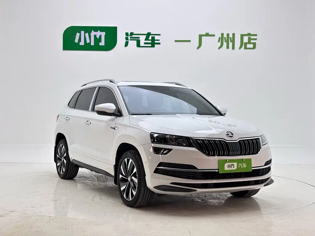 Skoda Karoq фото 3
