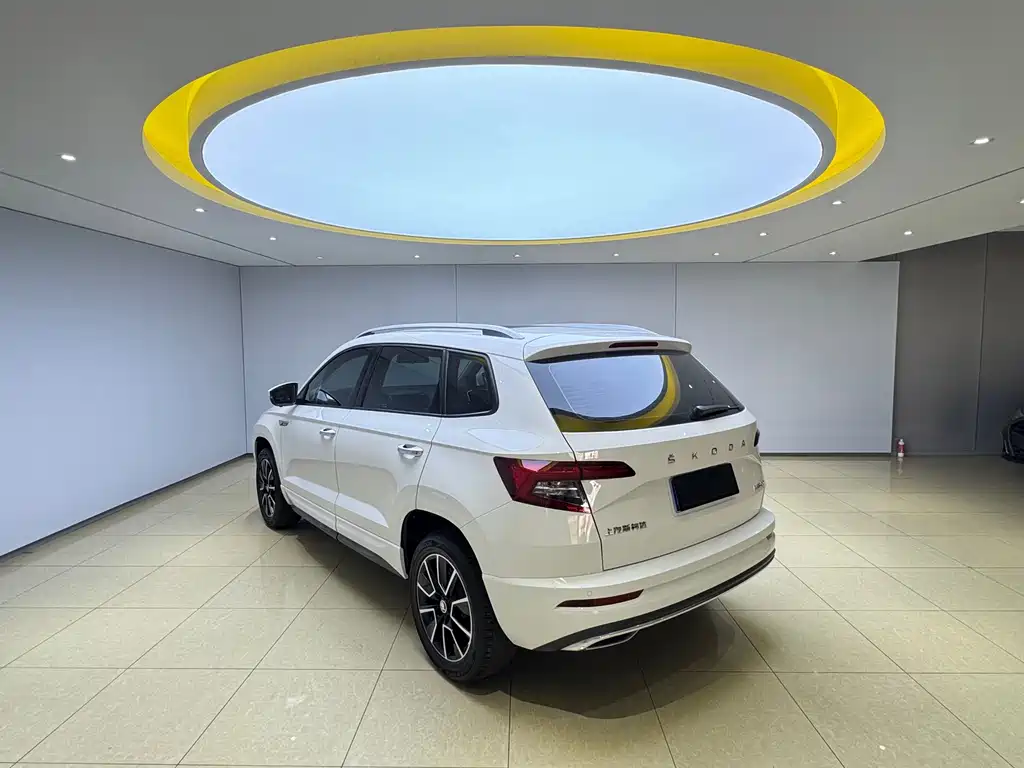 Skoda Karoq фото 4