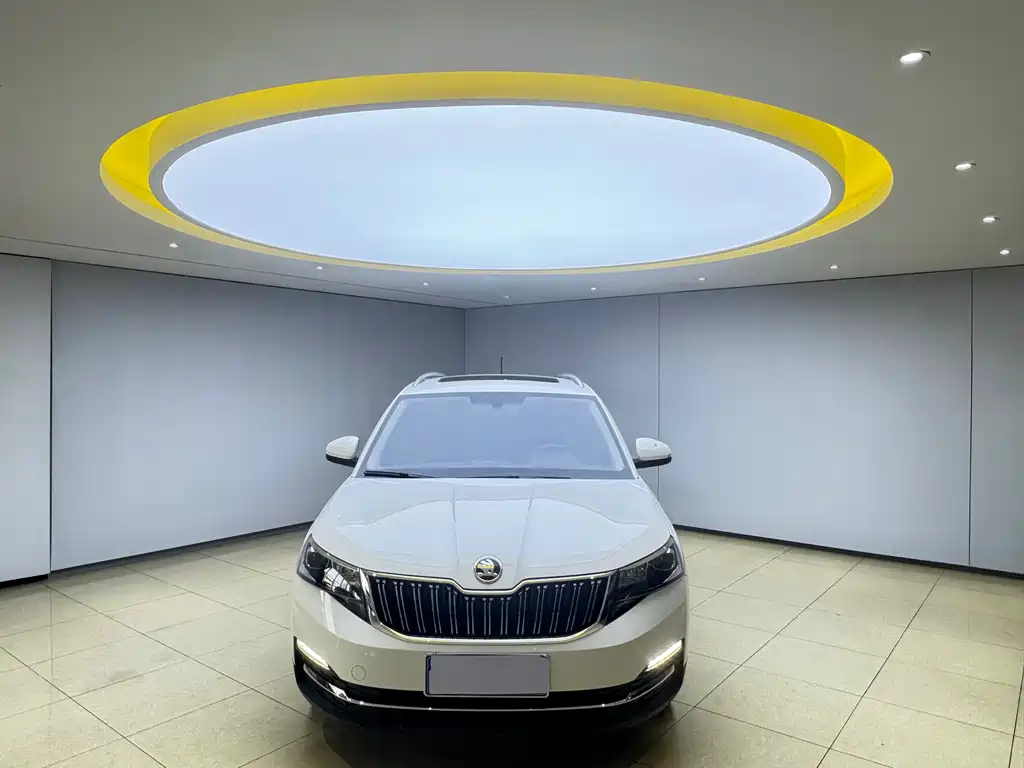 Skoda Kamiq фото 2