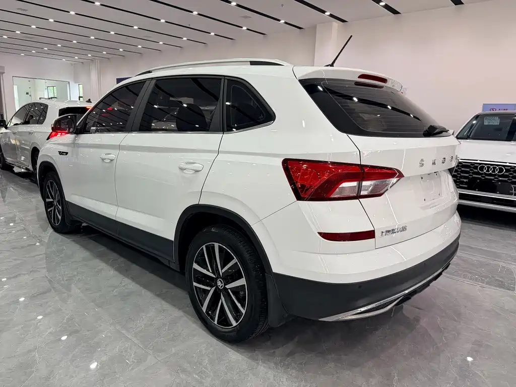Skoda Kamiq фото 6