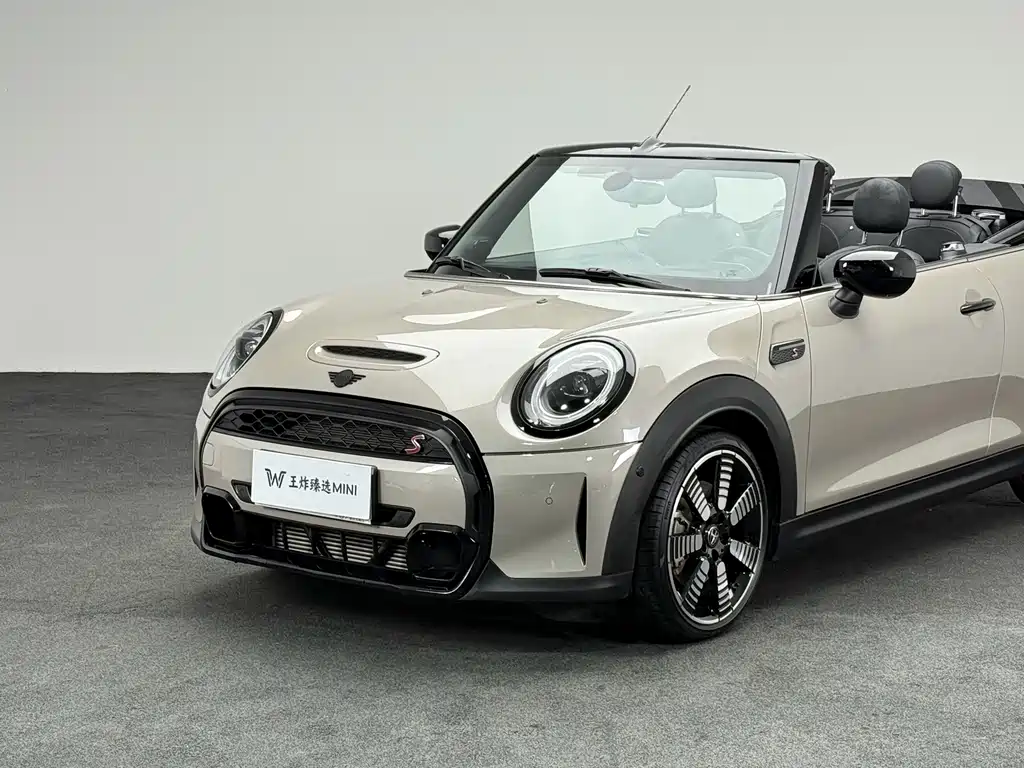 MINI MINI фото 5