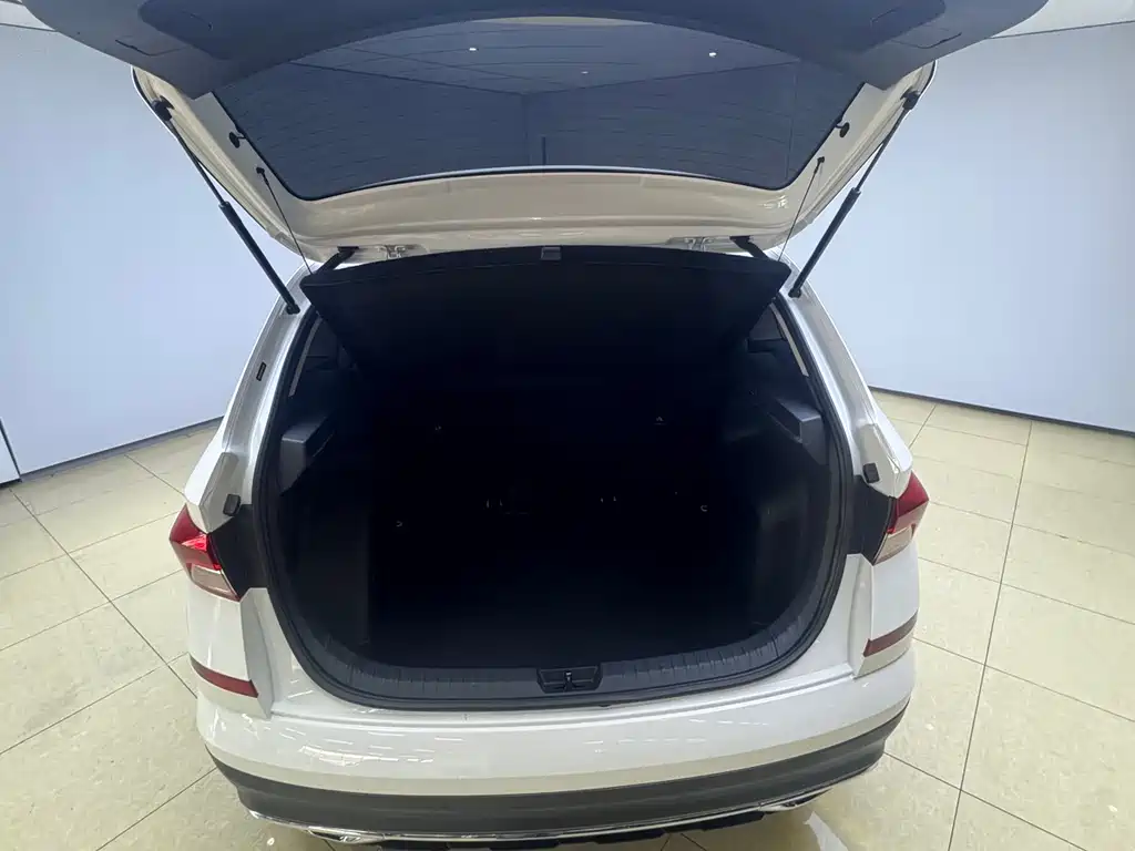 Skoda Kamiq фото 9