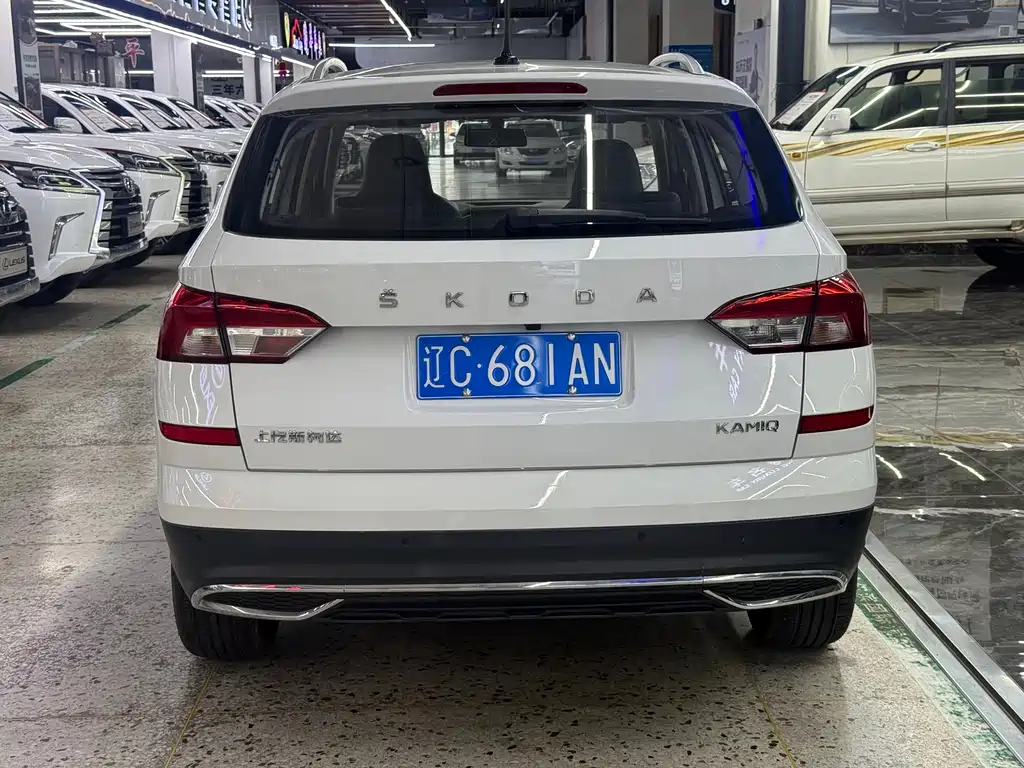 Skoda Kamiq фото 4