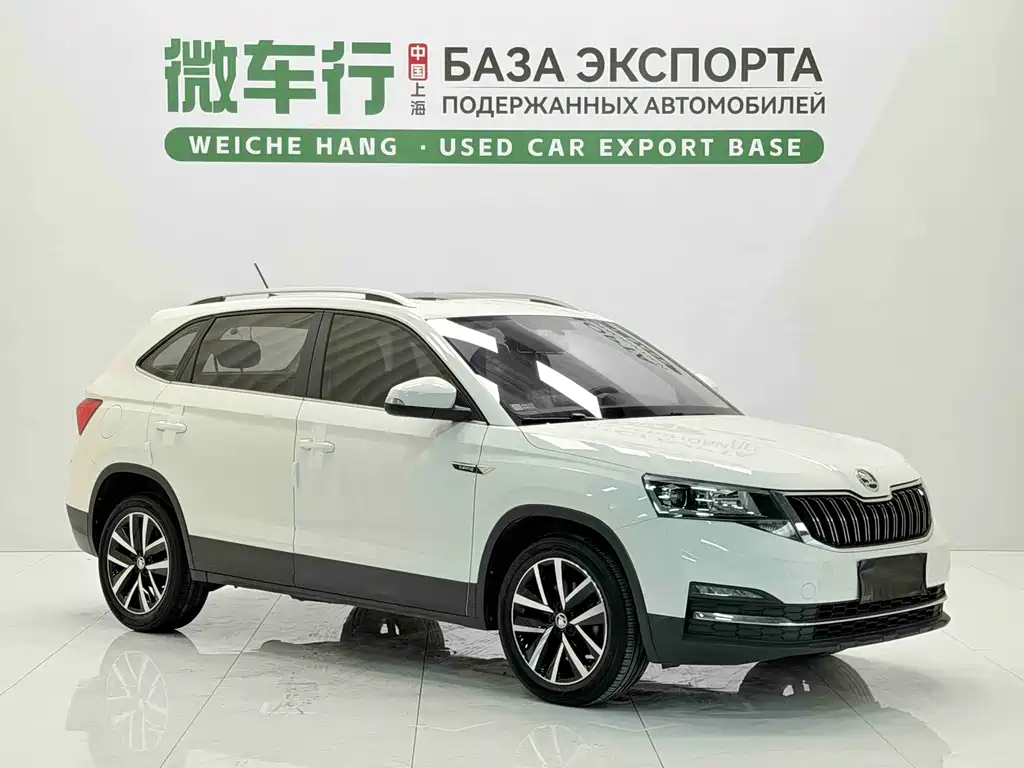Skoda Kamiq фото 3