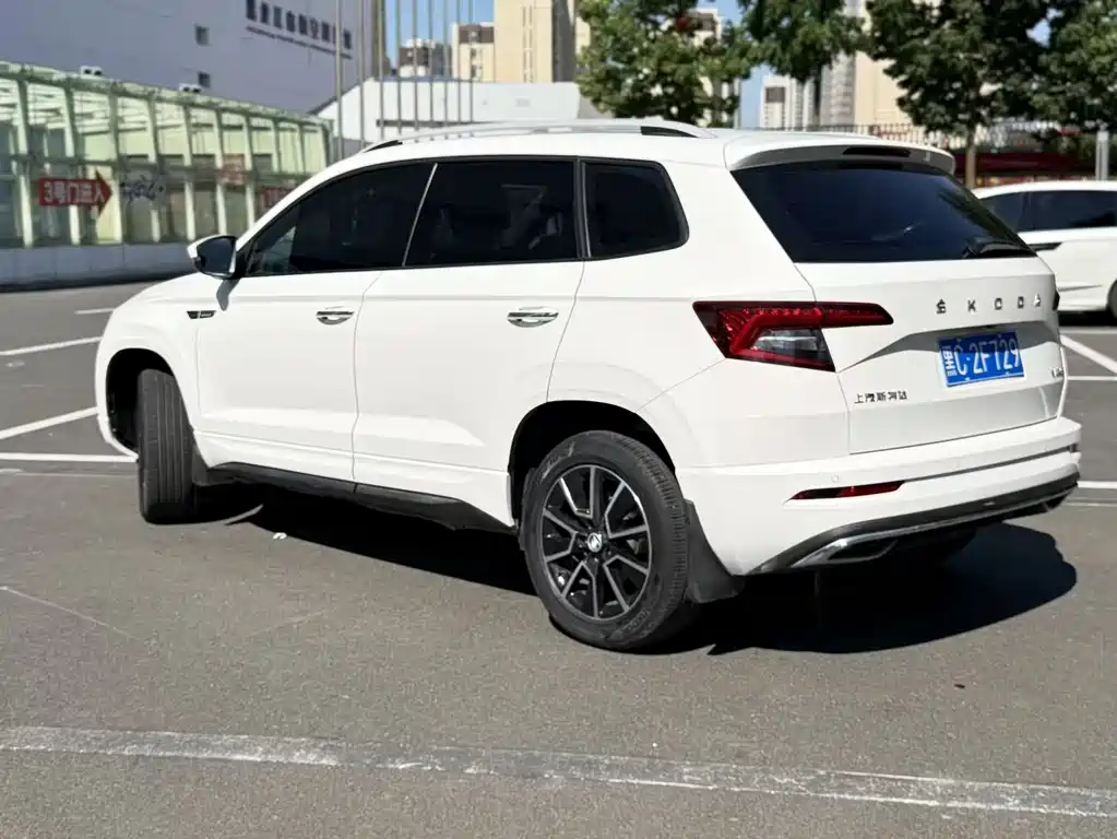 Skoda Karoq фото 8
