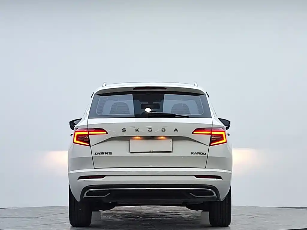Skoda Karoq фото 6