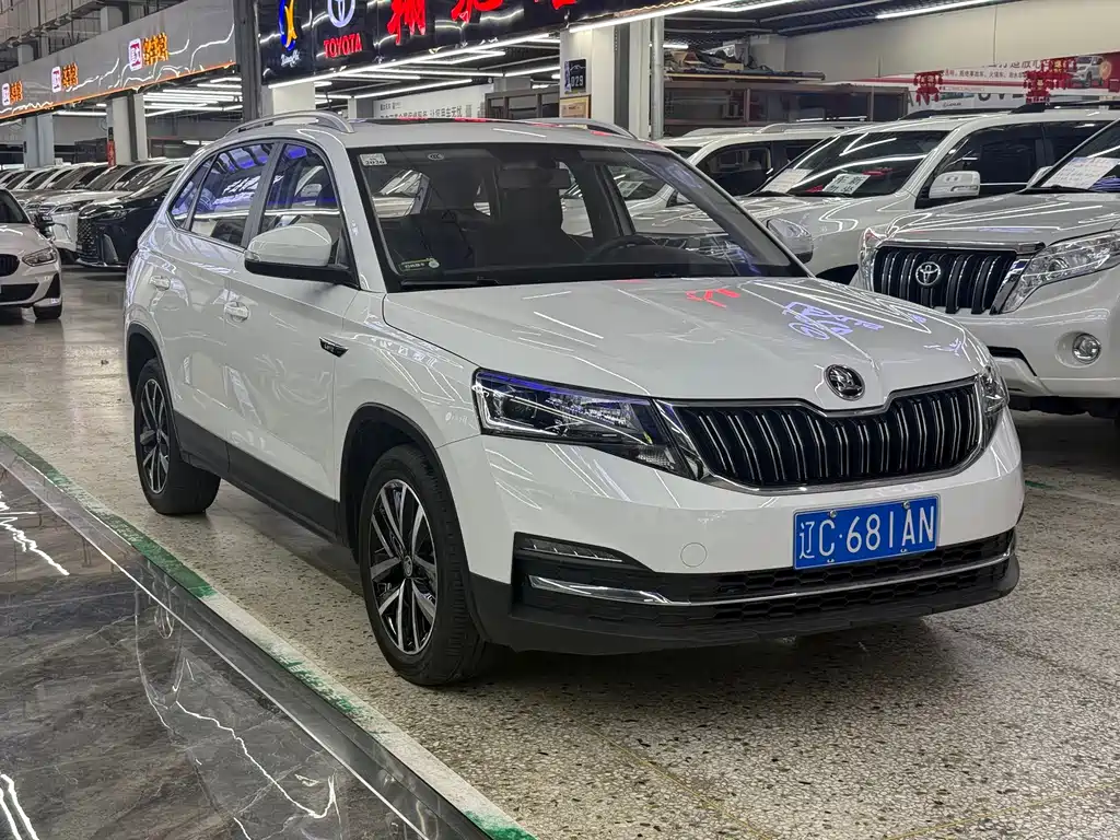 Skoda Kamiq фото 3