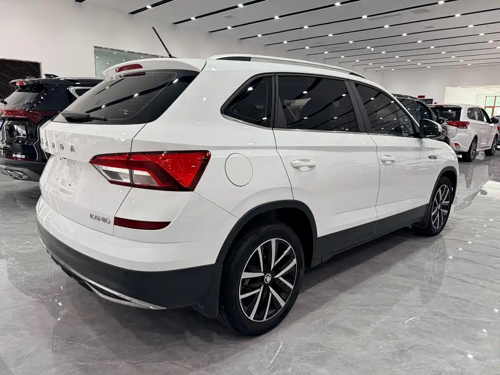 Skoda Kamiq фото 4