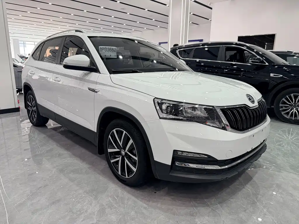 Skoda Kamiq фото 3
