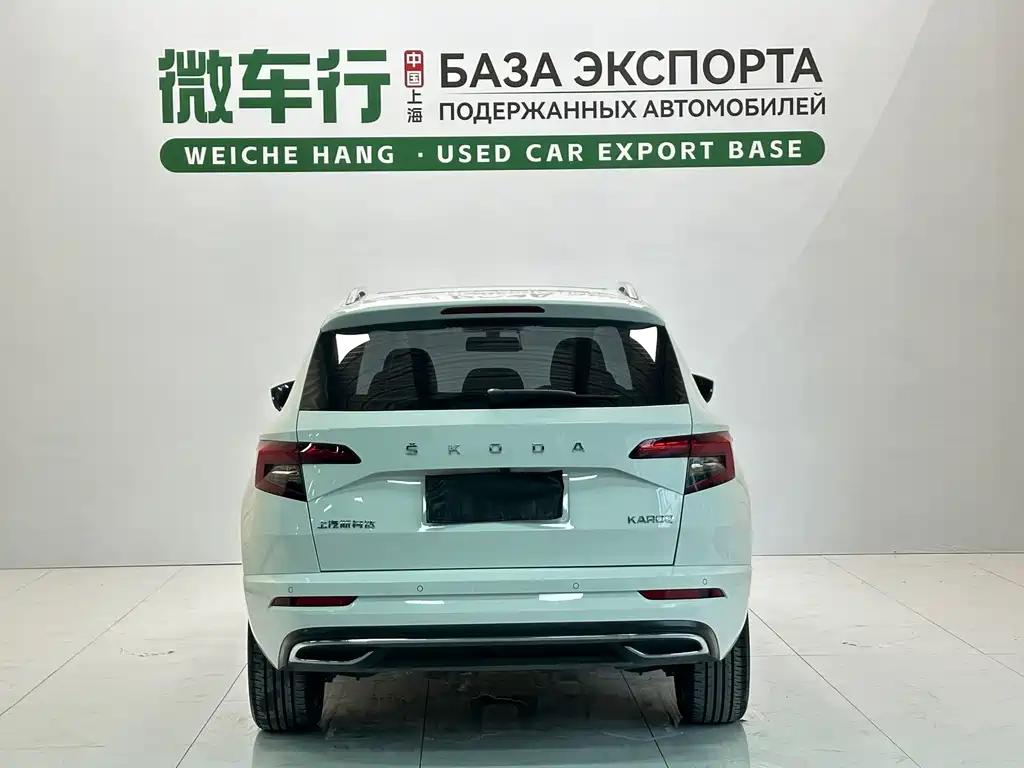 Skoda Karoq фото 5