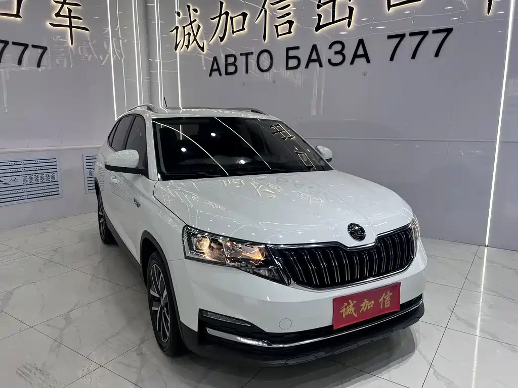 Skoda Kamiq фото 3