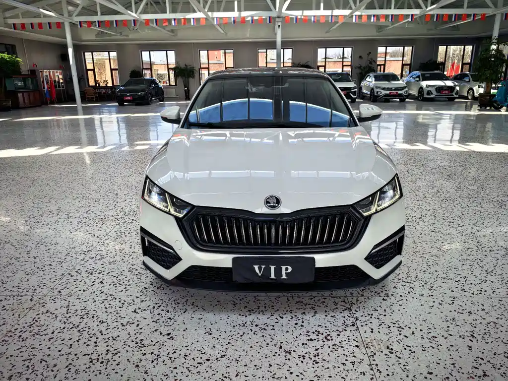 Skoda Octavia фото 2