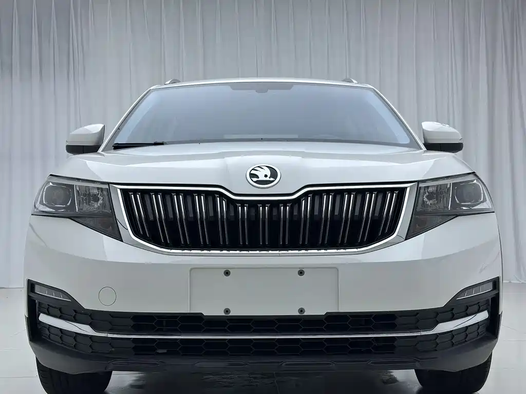 Skoda Kamiq фото 2