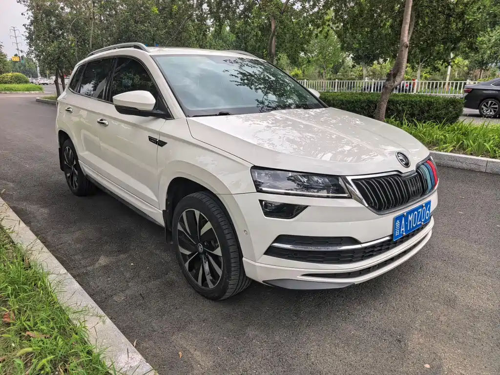 Skoda Karoq фото 2