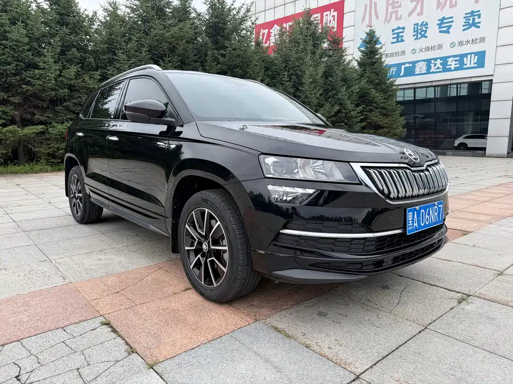 Skoda Karoq фото 3