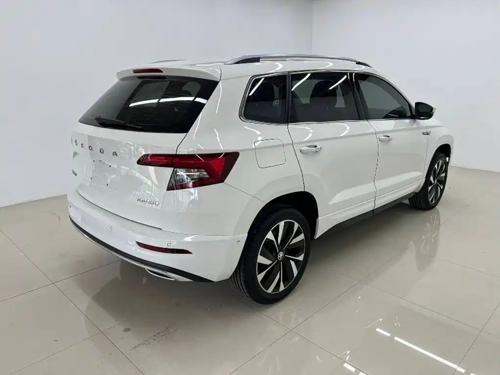 Skoda Karoq фото 4