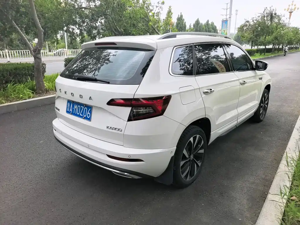 Skoda Karoq фото 3
