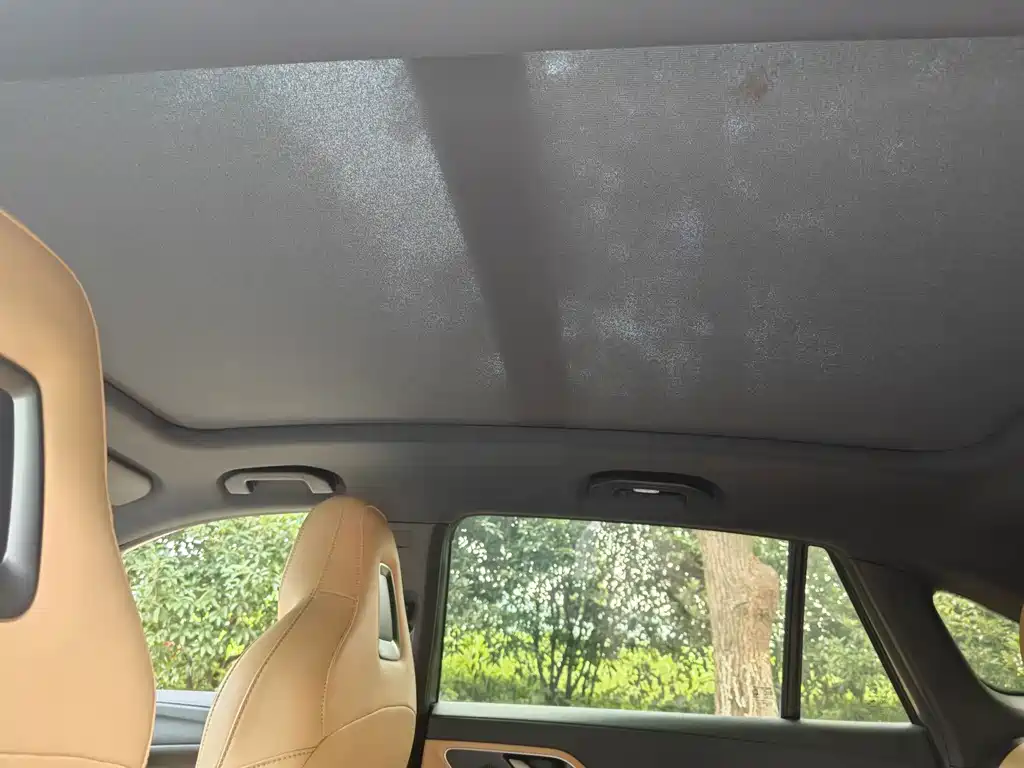 Roewe RX5 фото 9