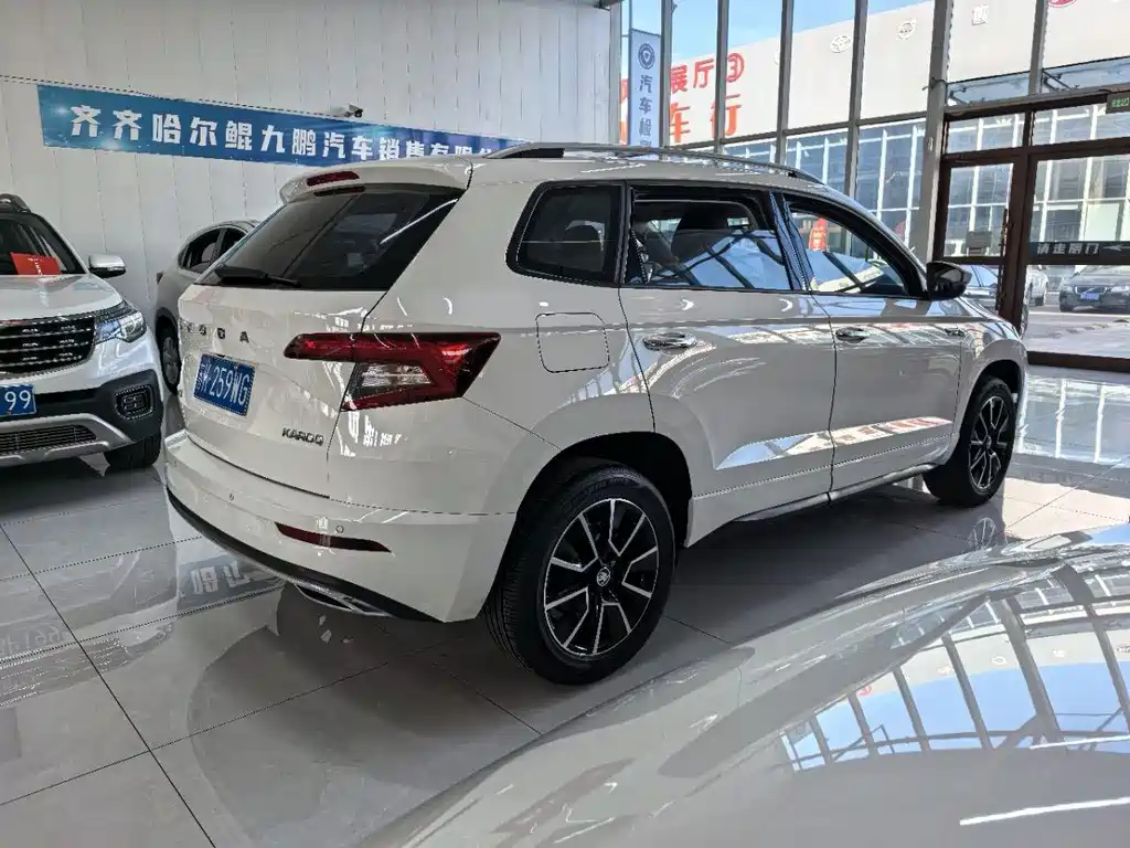 Skoda Karoq фото 4