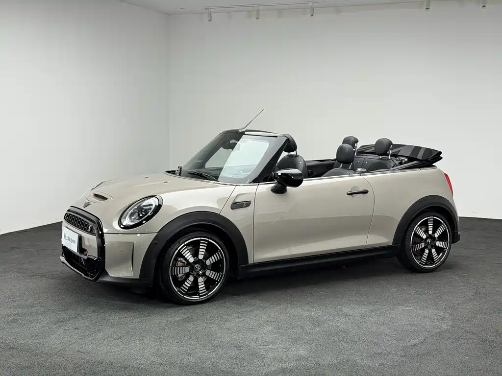 MINI MINI фото 3