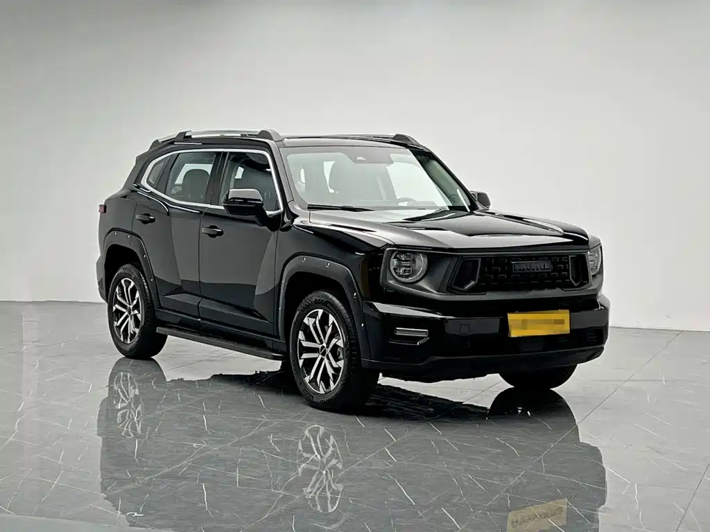 Haval Hafudagou PLUS фото 8