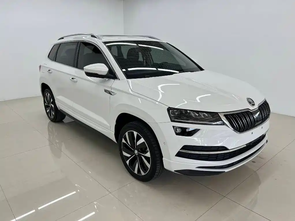 Skoda Karoq фото 3