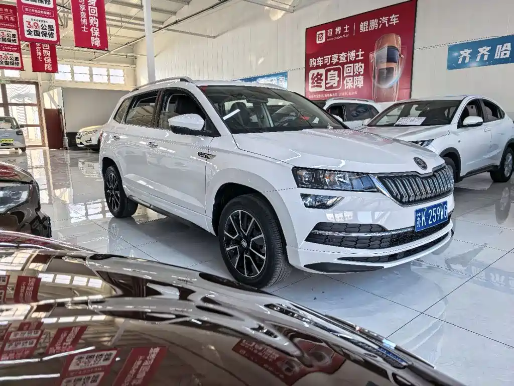 Skoda Karoq фото 6