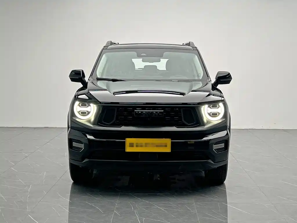 Haval Hafudagou PLUS фото 2