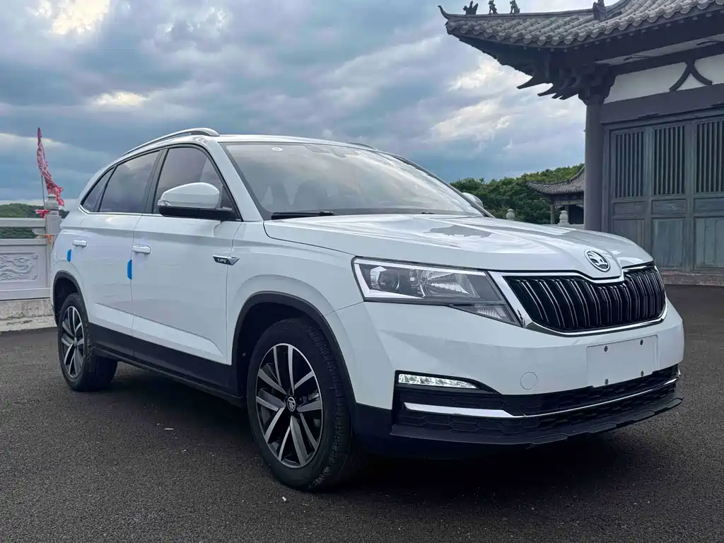 Skoda Kamiq фото 3