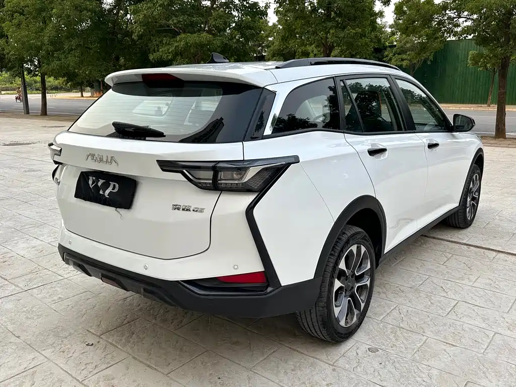 Dongfeng Aeolus YixuanGS фото 9