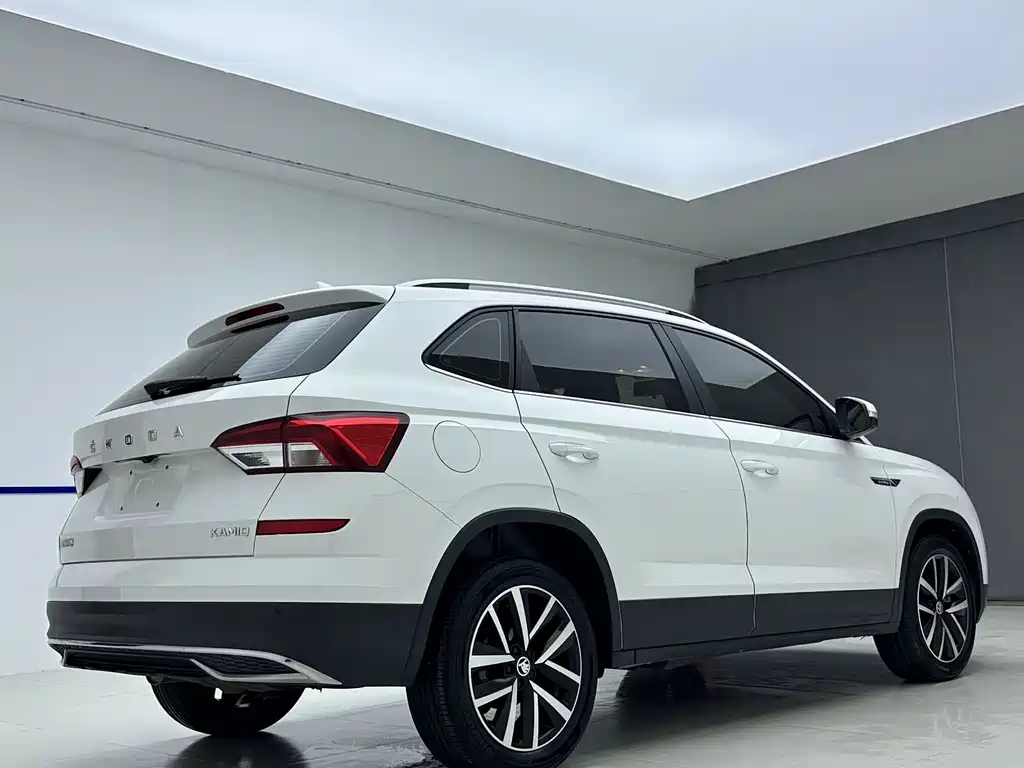 Skoda Kamiq фото 6