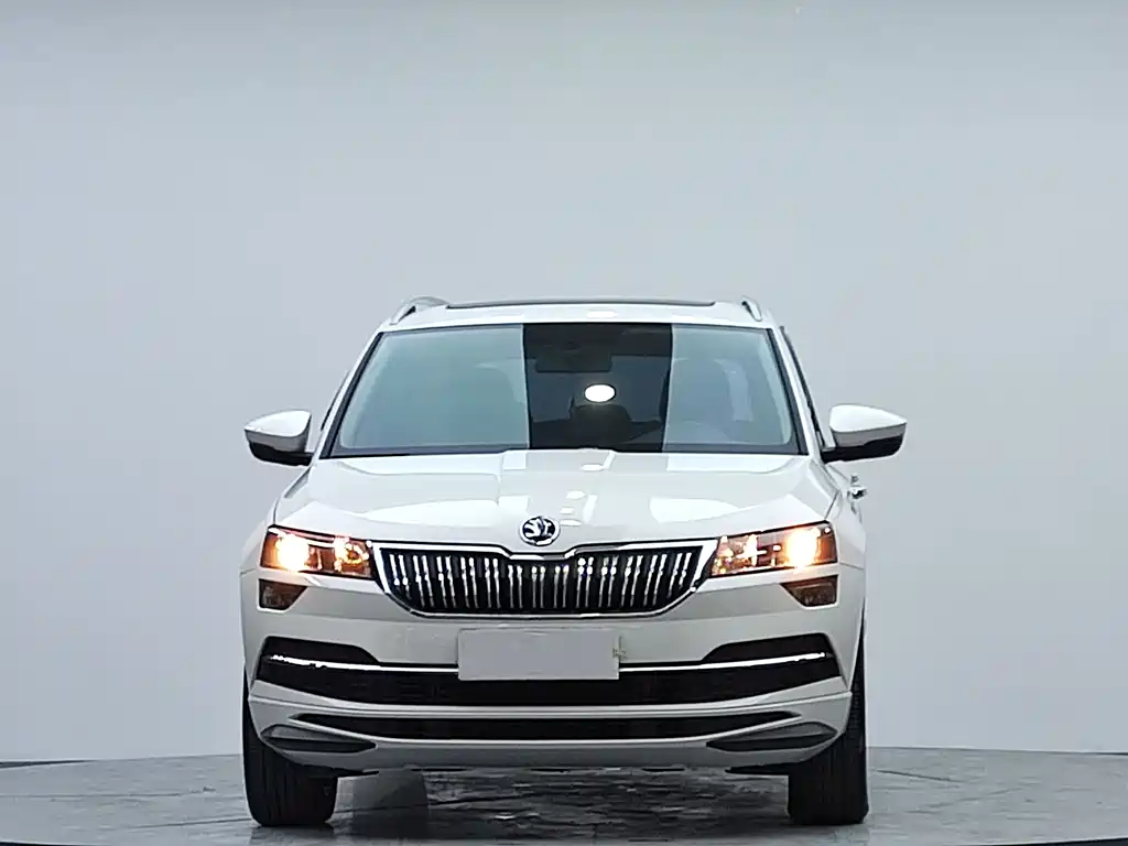 Skoda Karoq фото 2