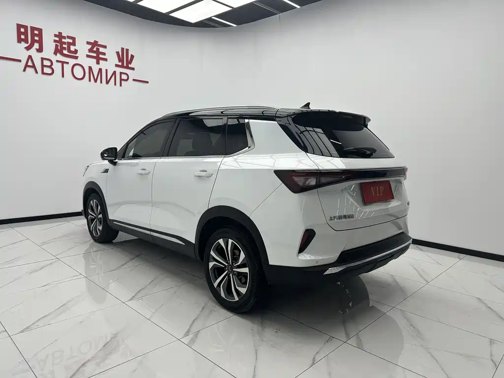 Wuling Wuling Xingchen фото 8