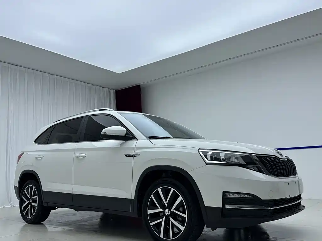 Skoda Kamiq фото 3