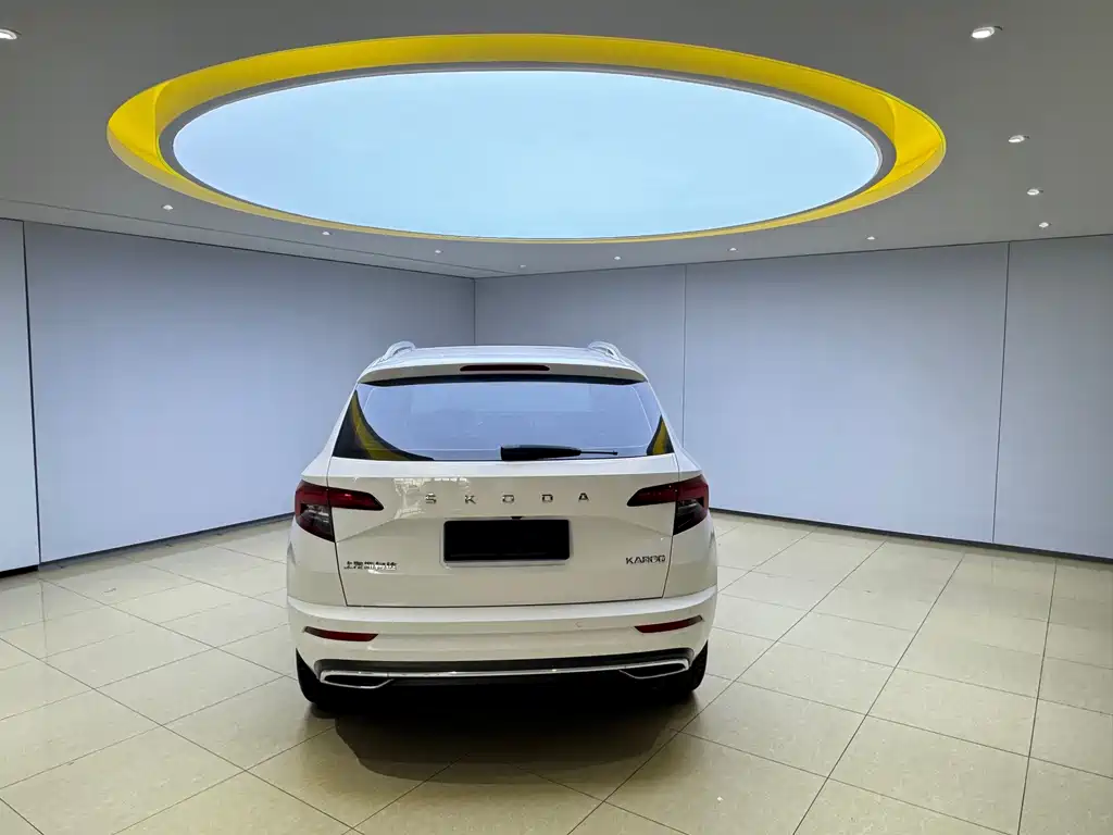 Skoda Karoq фото 5