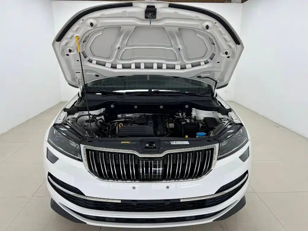 Skoda Karoq фото 7