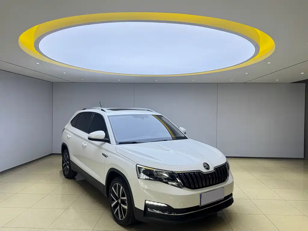Skoda Kamiq фото 3