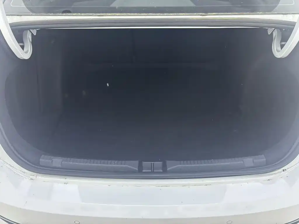 Volkswagen Lavida фото 12
