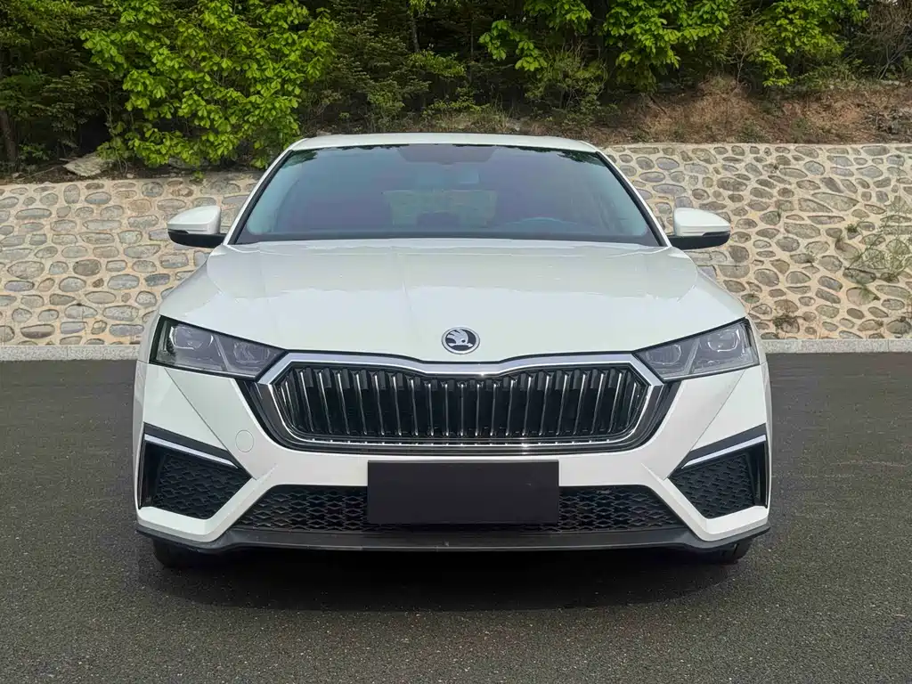 Skoda Octavia фото 2