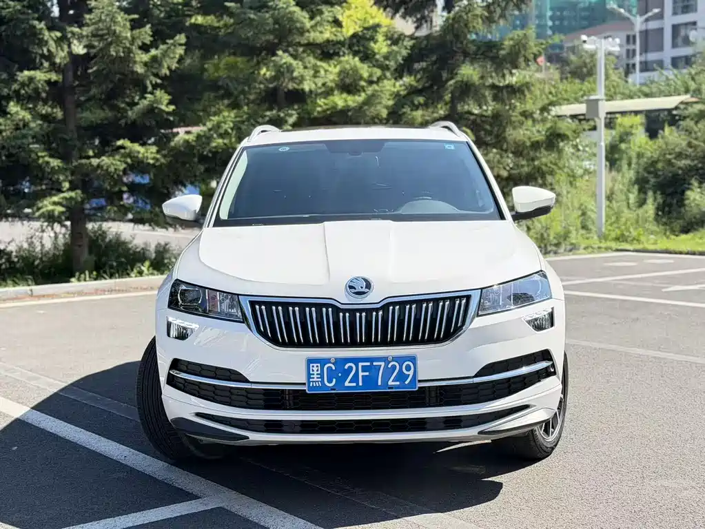 Skoda Karoq фото 2