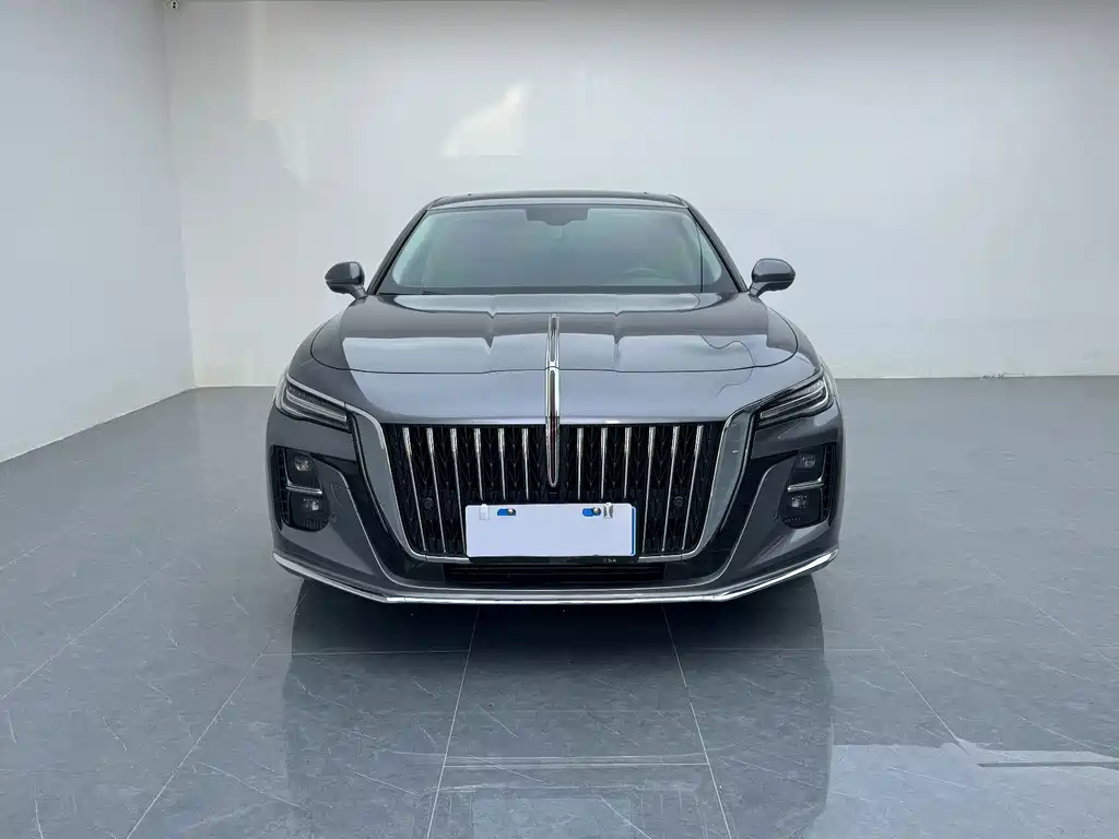 Hongqi H5 фото 2