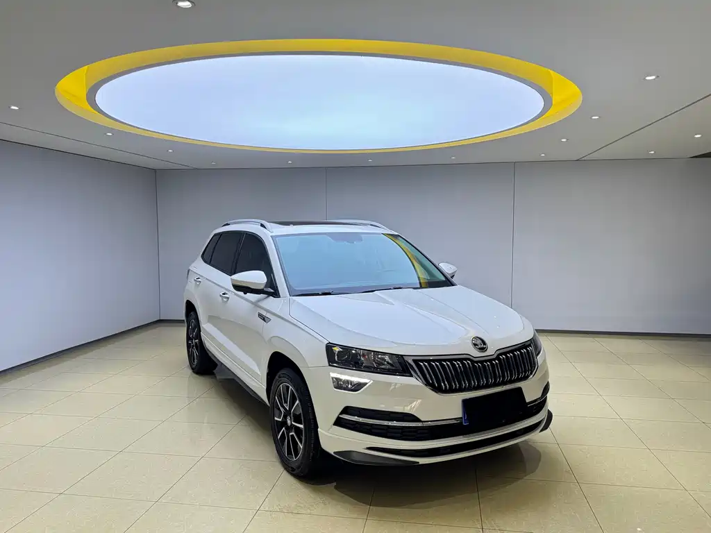 Skoda Karoq фото 3