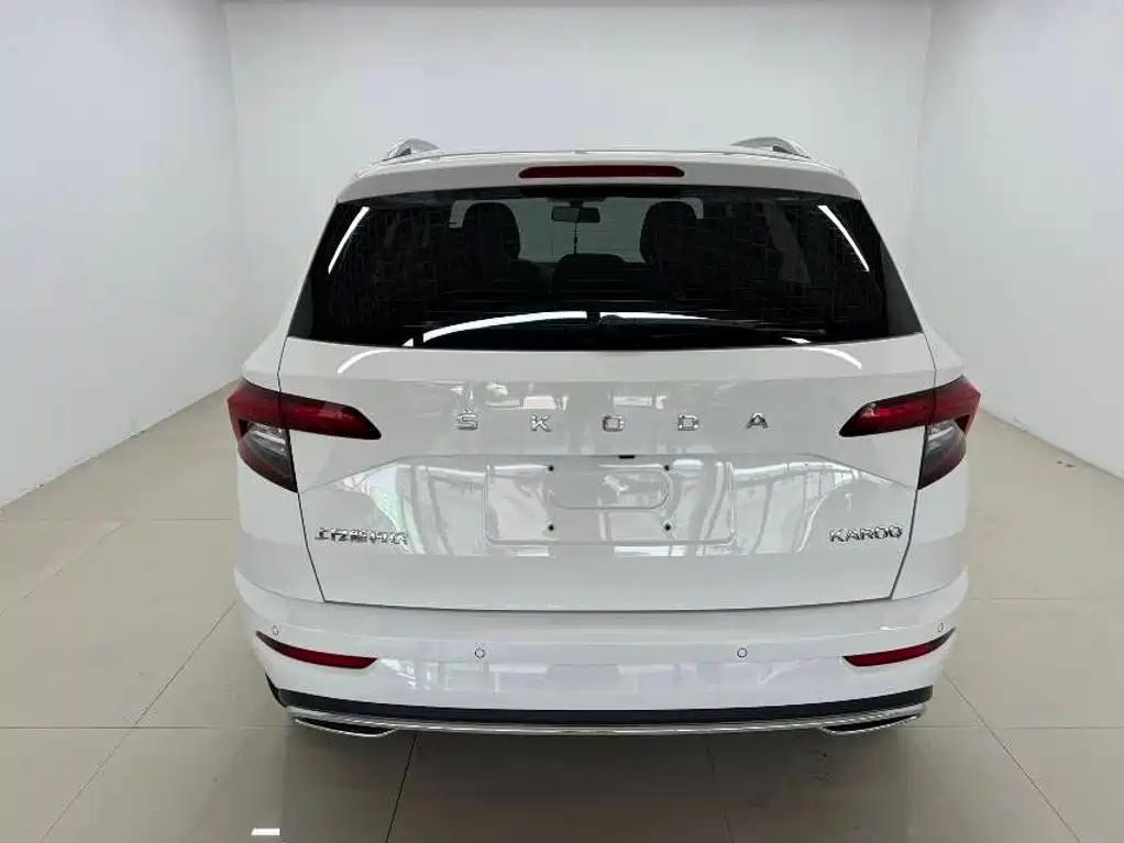 Skoda Karoq фото 5