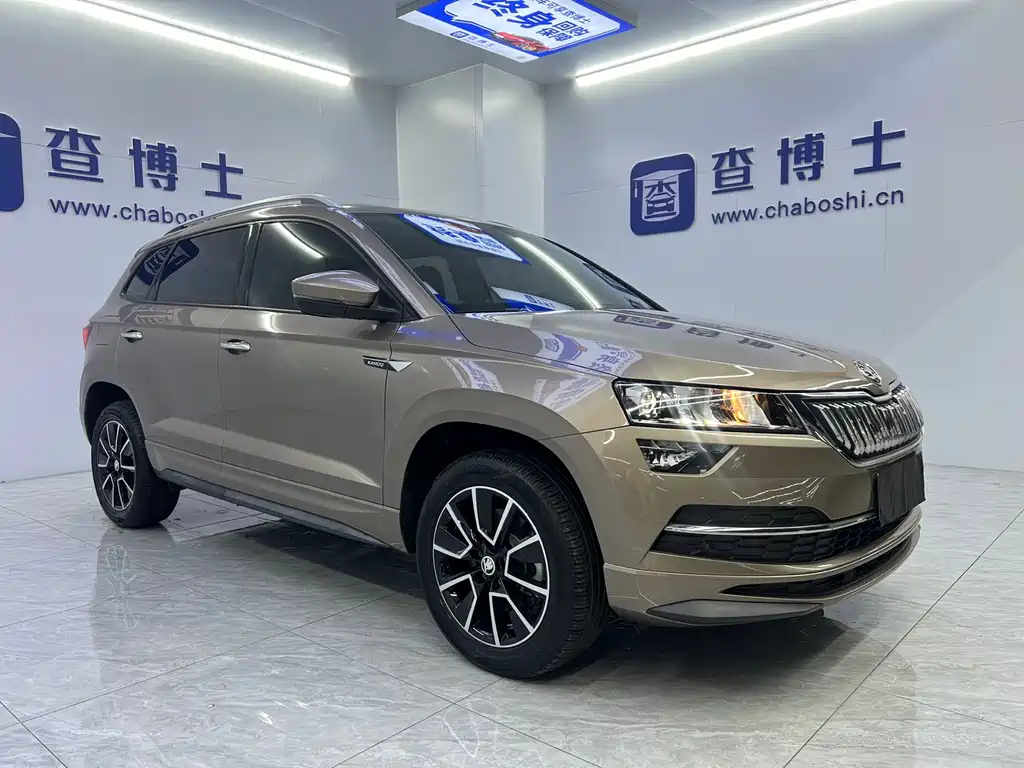 Skoda Karoq фото 3