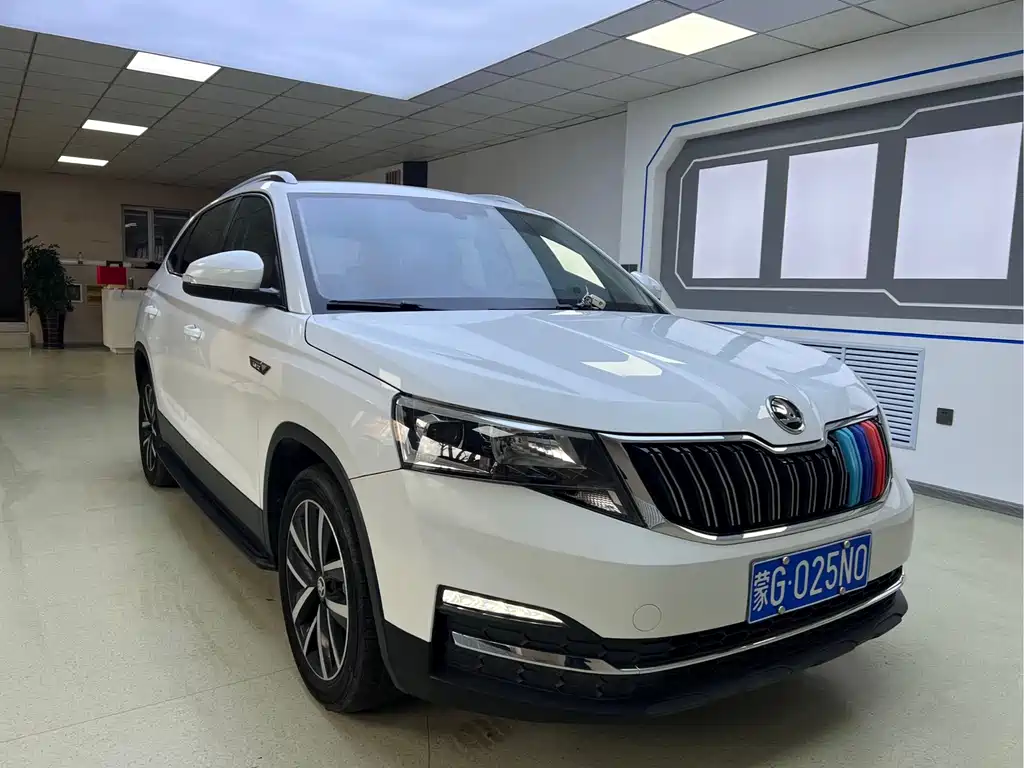 Skoda Kamiq фото 3