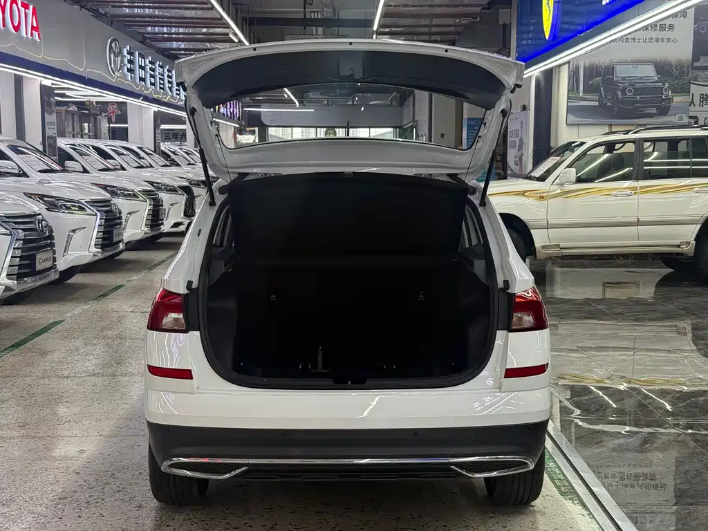 Skoda Kamiq фото 7