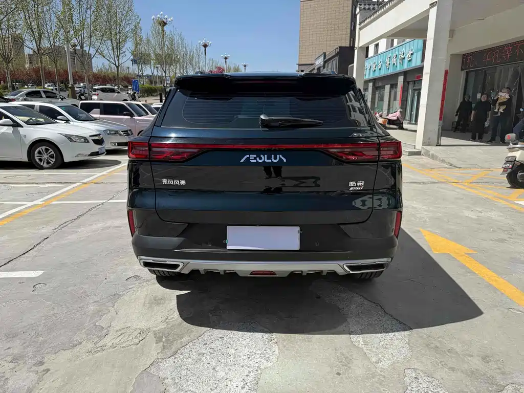 Dongfeng Aeolus Haoji фото 8