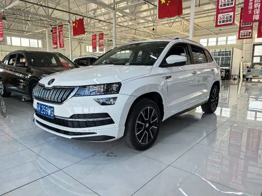 Skoda Karoq фото 5